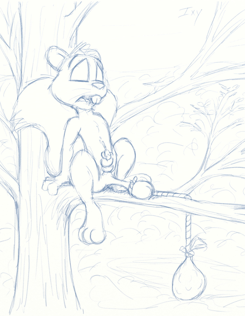 anthro bahlam_(artist) ball_stretcher ball_stretching balls cum hi_res male mammal masturbation monochrome penile_masturbation penis rodent rope sketch solo squirrel stretching tagme tree