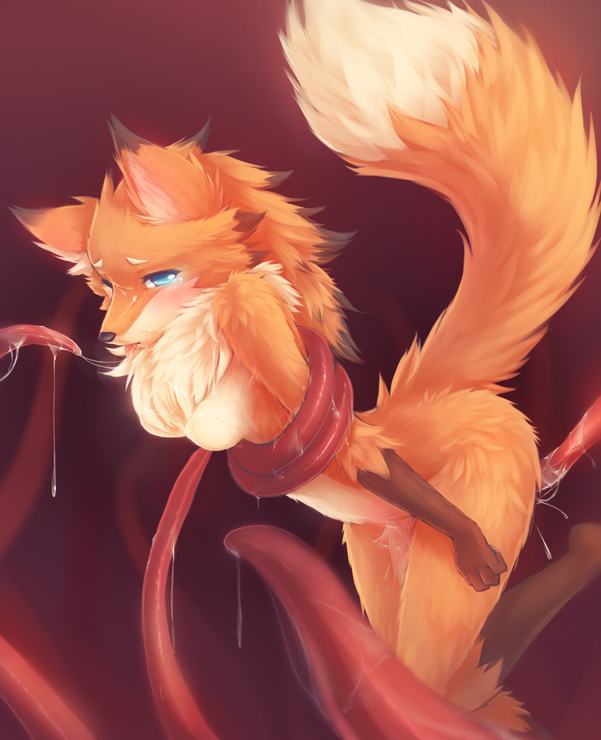 anthro black_nose blue_eyes blush bound breasts canine dripping edit female fluffy fox fur hi_res looking_at_viewer mammal nude orange_fur paws penetration raised_tail ricegnat solo tears tentacles tongue tongue_out
