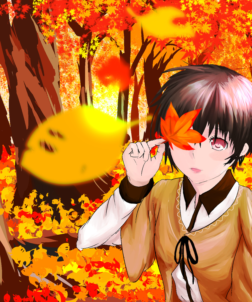 autumn bokura_wa_minna_kawaisou kawai_ritsu tagme