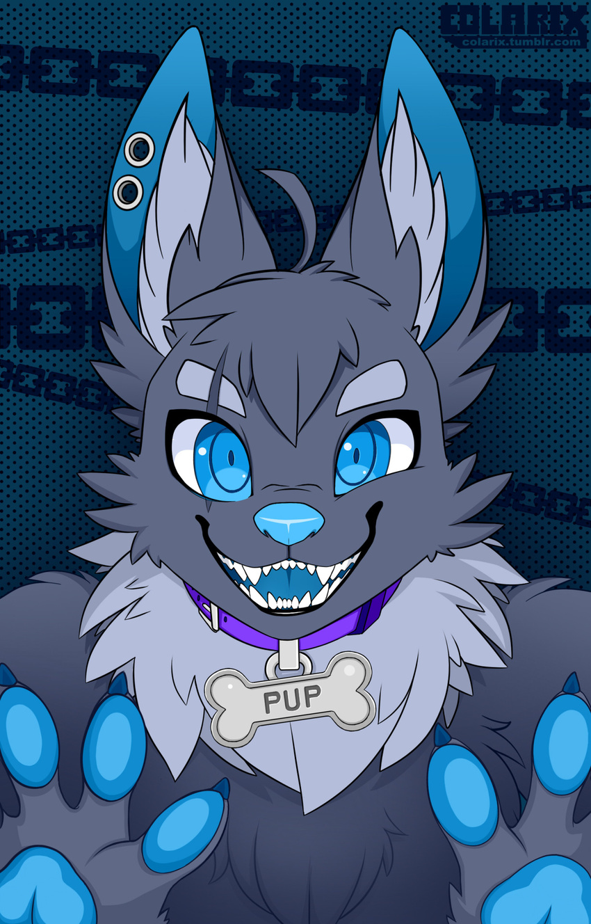 anthro canine colarix collar ear_piercing fangs hi_res inner_ear_fluff looking_at_viewer male mammal open_mouth piercing simple_background smile solo teeth tongue