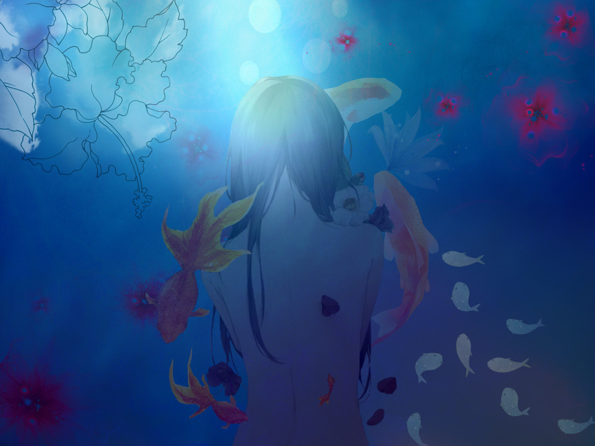 animal anime blue celtic dance dark female fish float flowers koi long_hair music nude ocean red sea solo twins underwater wallpaper water