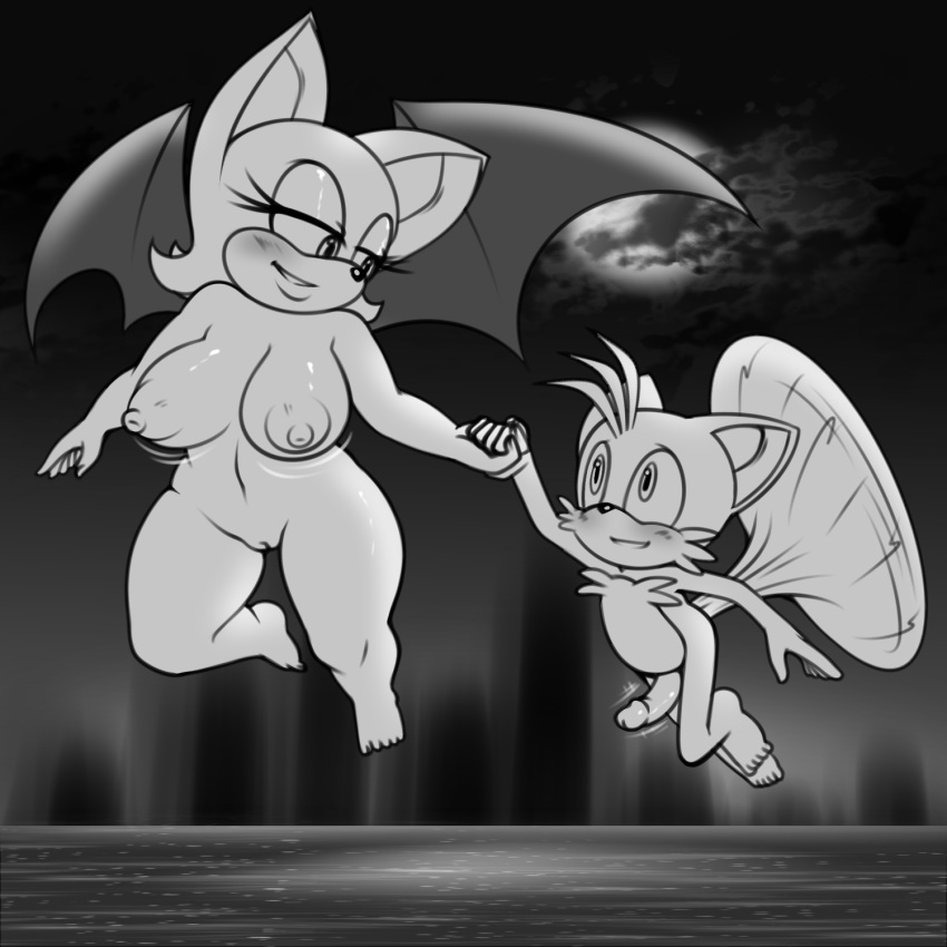age_difference anthro bat blush breasts canine cloud duo erection eye_contact eyelashes female flying fox fur hand_holding hyoumaru looking_back male male/female mammal miles_prower monochrome moon navel nipples nude older_female outside penis pussy rouge_the_bat size_difference smile sonic_(series) thick_thighs younger_male