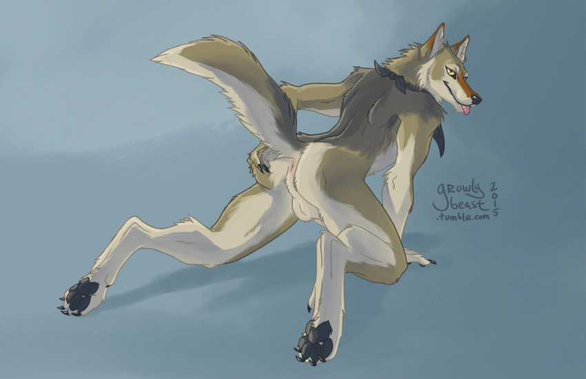 2015 anthro anus backsack balls butt canine growlybeast half-closed_eyes looking_at_viewer looking_back male mammal nude simple_background solo tongue tongue_out wolf