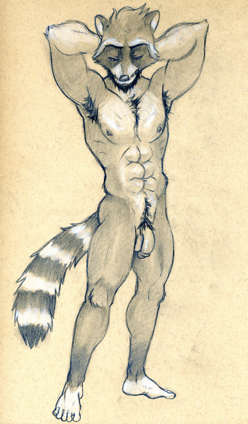 abs anthro armpit_hair athletic balls barefoot body_hair circumcised eyes_closed flaccid front_view hairy happy_trail humanoid_penis male mammal monochrome nude pecs pencil_(artwork) penis pinup plantigrade pose pubes raccoon raised_arm solo traditional_media_(artwork) tush