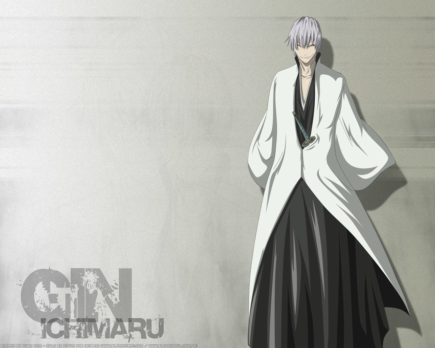 bleach ichimaru_gin tagme