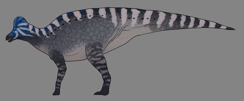claws corythosaurus dinosaur hadrosaur herbivore hooves stripes