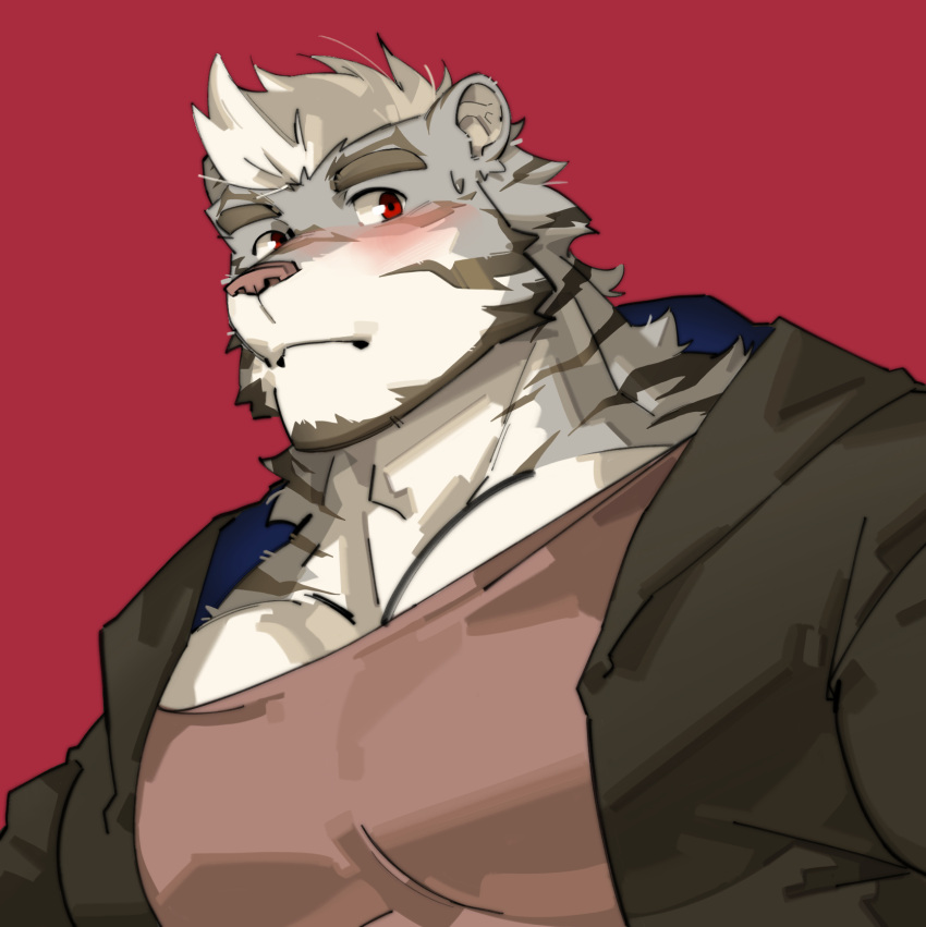 1boy bara beard facial_hair from_below full_beard grey_fur highres huge_pectorals jacket male_focus mature_male muscular muscular_male original pectoral_cleavage pectorals red_background shirt short_hair sideways_glance solo sweatdrop t-shirt tareme thick_eyebrows tiger_boy upper_body whowoe