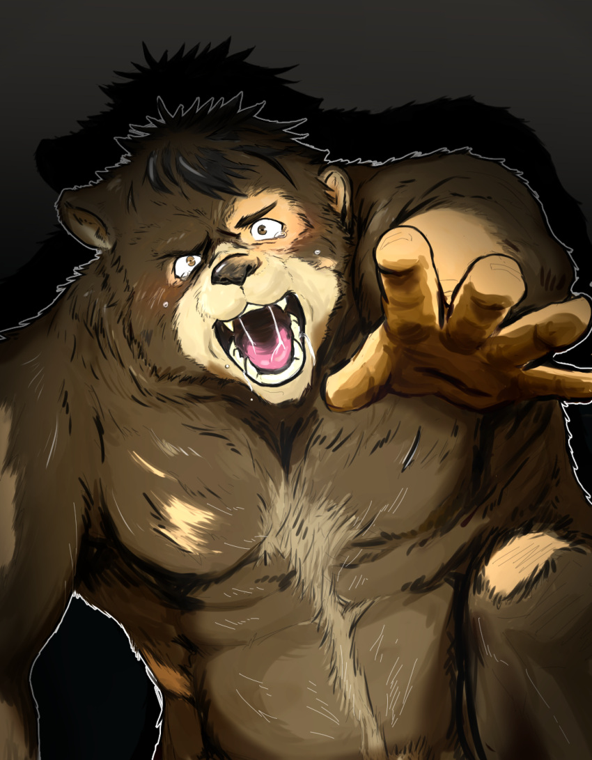2013 anthro bear bodily_fluids body_hair brown_body brown_fur chest_hair drooling drop_shadow forced forced_transformation fur happy_trail hi_res human human_to_anthro izayoi_16 looking_at_viewer male mammal mid_transformation reaching_towards_viewer saliva saliva_string simple_background solo species_transformation tears transformation