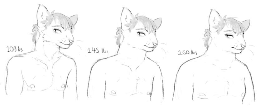 2021 anthro cettus clothed clothing domestic_cat felid feline felis hair male mammal natan_osorio_suarez nipples pecs sequence sketch slightly_chubby slightly_chubby_anthro slightly_chubby_male solo topless weight_gain weights