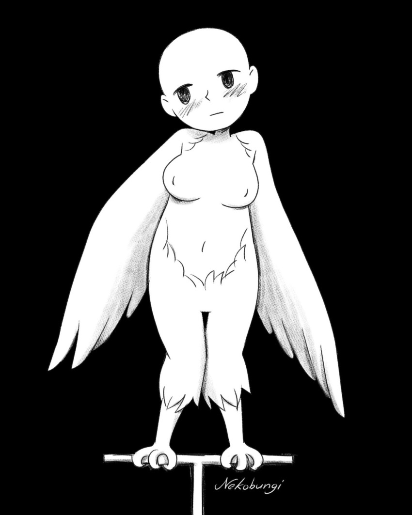 avian bald big_breasts breasts european_mythology feathered_wings feathers feet female greek_mythology harpy hi_res humanoid monochrome mythological_avian mythology nekobungi solo talons toes winged_arms wings