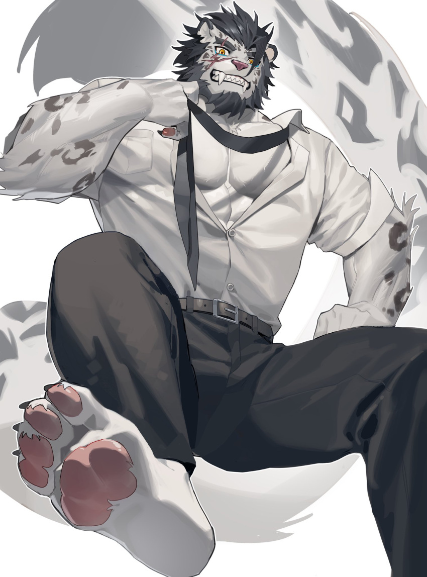 2023 4_toes abs anthro beard black_belt black_bottomwear black_clothing black_hair black_necktie black_pants bottomwear claws clothing dog22322 dress_shirt eye_scar facial_hair facial_scar fangs feet felid finger_claws fur grin hair hi_res leopard_spots long_tail male mammal markings muscular muscular_anthro muscular_male necktie pantherine pants pawpads pecs rolled_up_sleeves scar shirt simple_background smile snout snout_scar snow_leopard solo spots spotted_body spotted_fur tail teeth toe_claws toes topwear unbuttoned_shirt white_background white_body white_fur yellow_eyes yuntian