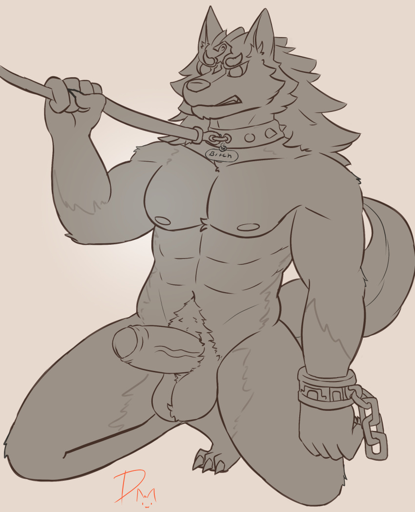 absurd_res anthro balls canid canine clenched_teeth collar collar_only cuff_(restraint) dangermons fur genitals hi_res humanoid leash leash_pull link_(wolf_form) male mammal muscular nintendo nipples nude penis restraints shackles simple_background solo teeth the_legend_of_zelda thick_penis