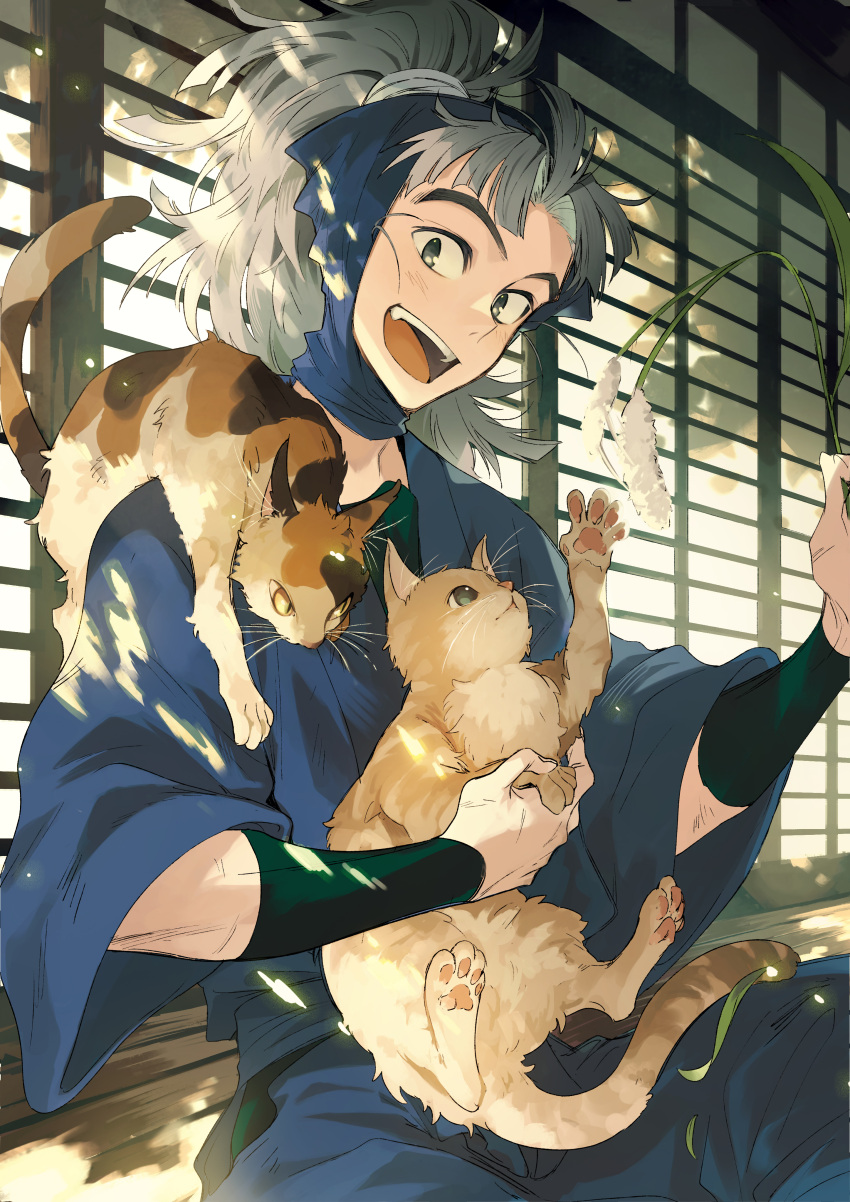 1boy absurdres animal animal_on_shoulder architecture arm_guards blue_headwear blue_pants calico cat cat_on_shoulder cattail dappled_sunlight day detached_hood east_asian_architecture grey_eyes grey_hair hand_up highres holding holding_animal holding_cat holding_plant hood hood_up japanese_clothes long_hair long_sleeves looking_at_viewer male_focus ninja open_mouth orange_eyes pants plant playing ponytail rakudai_ninja_rantarou remon_(10112) sitting smile sunlight takeya_hachizaemon teeth tongue upper_teeth_only wooden_floor