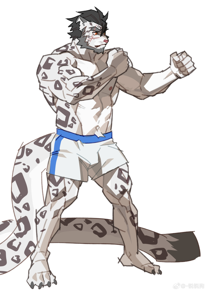 2023 abs absurd_res anthro beard biceps black_hair bottomwear claws clothed clothing facial_hair felid fighting_pose fur hair hi_res leopard_spots li_geduld long_tail male mammal markings muscular muscular_anthro muscular_male nipples notched_ear pantherine pecs pose shorts shorts_only simple_background snow_leopard solo spots spotted_body spotted_fur standing tail toe_claws topless weibo weibo_logo white_background white_body white_bottomwear white_clothing white_fur white_shorts yuntian