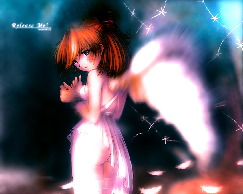 neon_genesis_evangelion soryu_asuka_langley tagme wings yuji