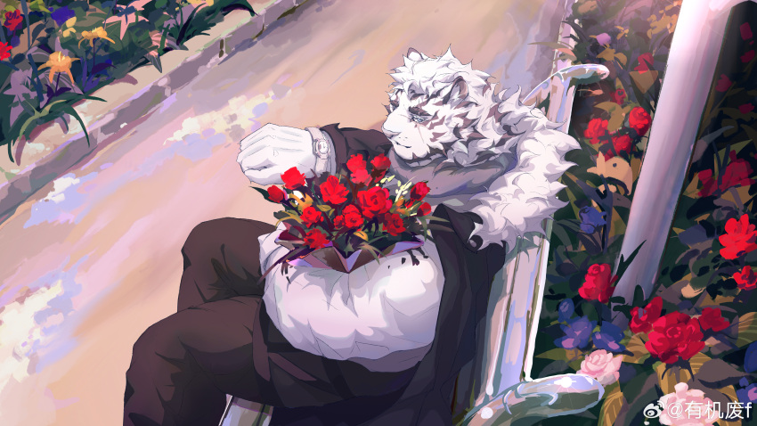 1boy absurdres alternate_costume animal_ears arknights artist_request bara bouquet facial_hair feet_out_of_frame flower from_above furry furry_male goatee highres holding holding_bouquet large_pectorals light_smile looking_at_viewer male_focus mountain_(arknights) muscular muscular_male on_bench pectorals rose scar scar_across_eye short_hair sitting solo suit thick_eyebrows tiger_boy tiger_ears white_hair