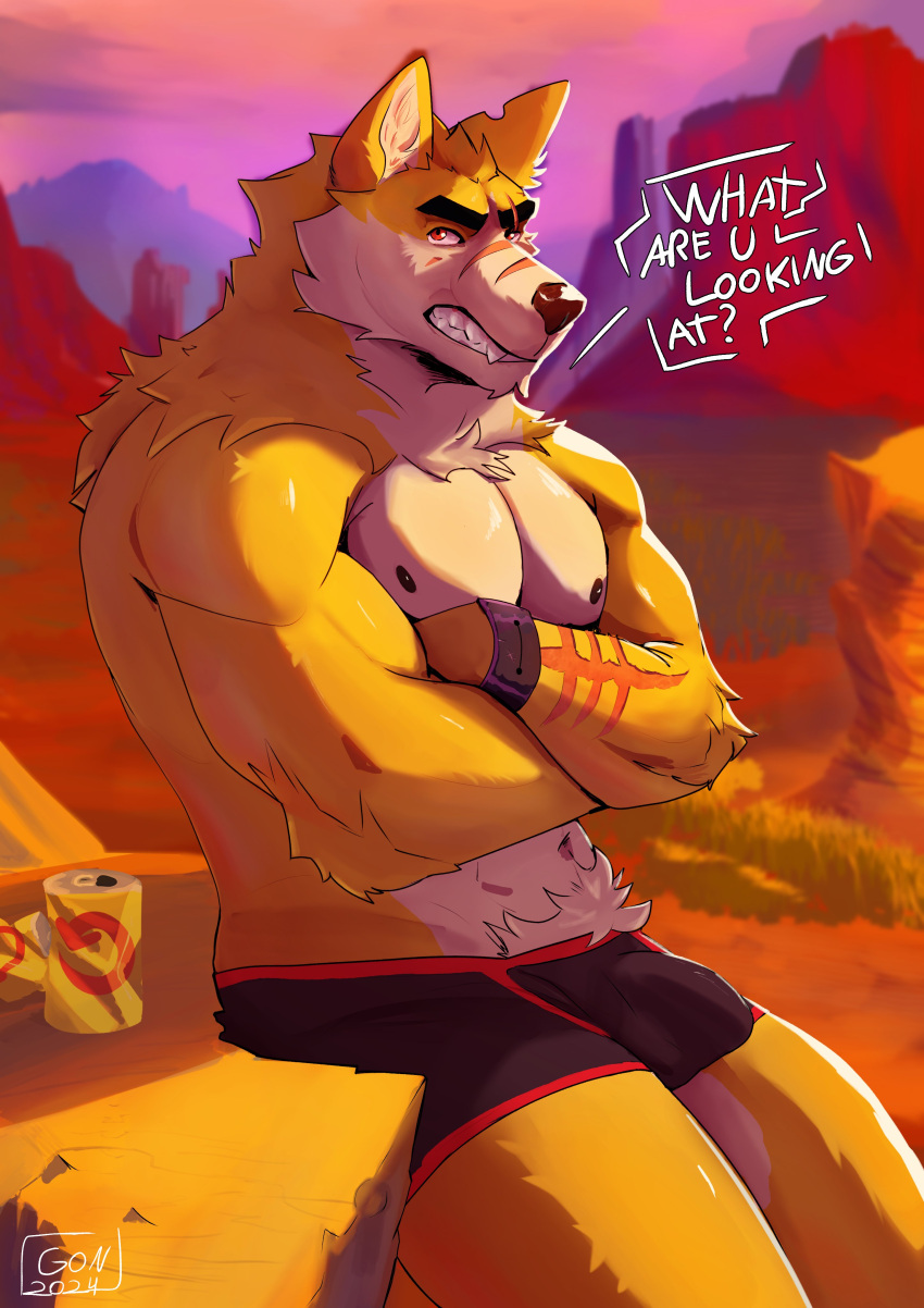 absurd_res anthro bulge canid canine clothed clothing cooper_krager crossed_arms detailed_background dialogue english_text facial_scar fur gonnidae hi_res looking_at_viewer male mammal muscular muscular_male nipples outside scar solo text topless topless_male underwear yellow_body yellow_fur