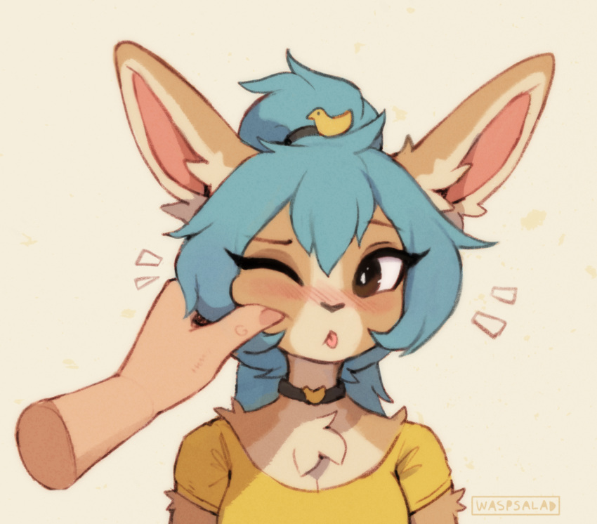 anthro blep blue_hair blush chest_tuft clothing disembodied_hand duo face_squish female grabbing_face hair hi_res human lagomorph leporid mammal ponytail rabbit shirt simple_background solo_focus squish t-shirt tan_body tongue tongue_out topwear tuft waspsalad