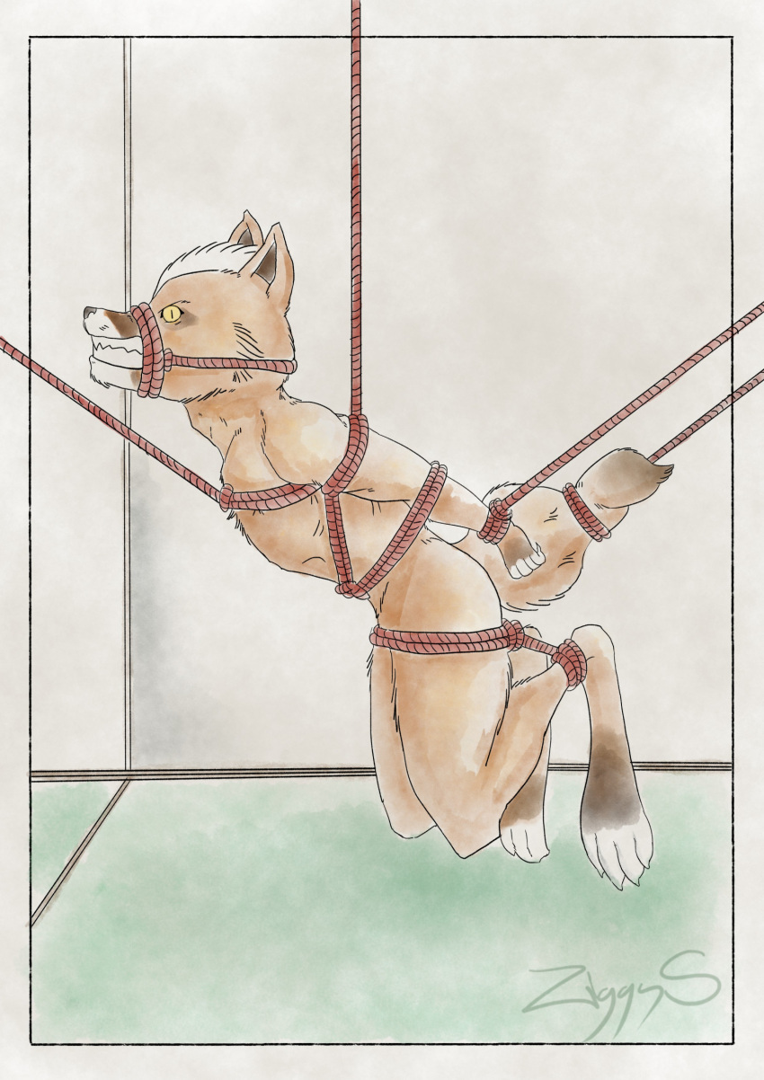 alphabet anthro bdsm bondage bound canid canine fox fox_mccloud hi_res male mammal nintendo nude restraints rope rope_bondage rope_harness solo star_fox struggling suspension ziggy_s