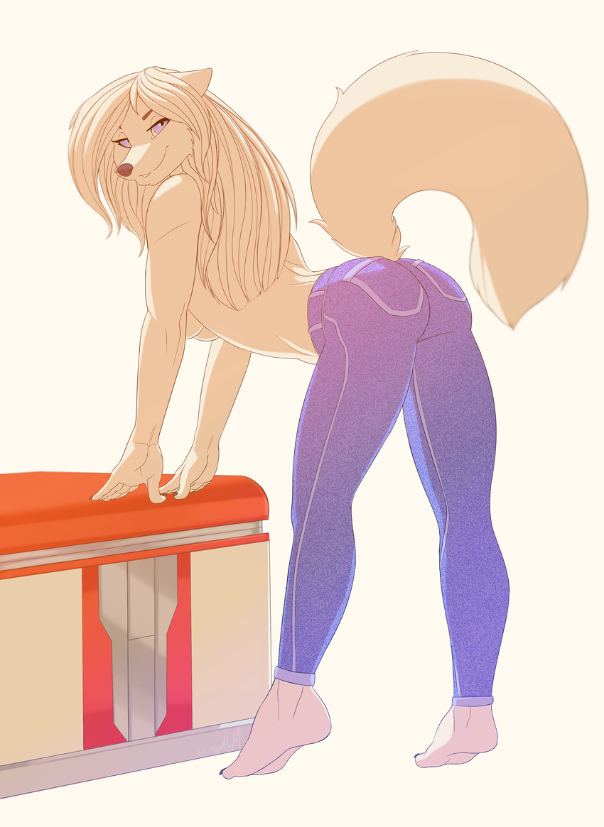 2016 absurd_res anthro barefoot bent_over breasts brown_fur brown_hair butt canine clothed clothing female fox fur hair hi_res long_hair looking_at_viewer mammal pants pinup pose purple_eyes raised_tail simple_background smile solo teeth topless white_background woadedfox