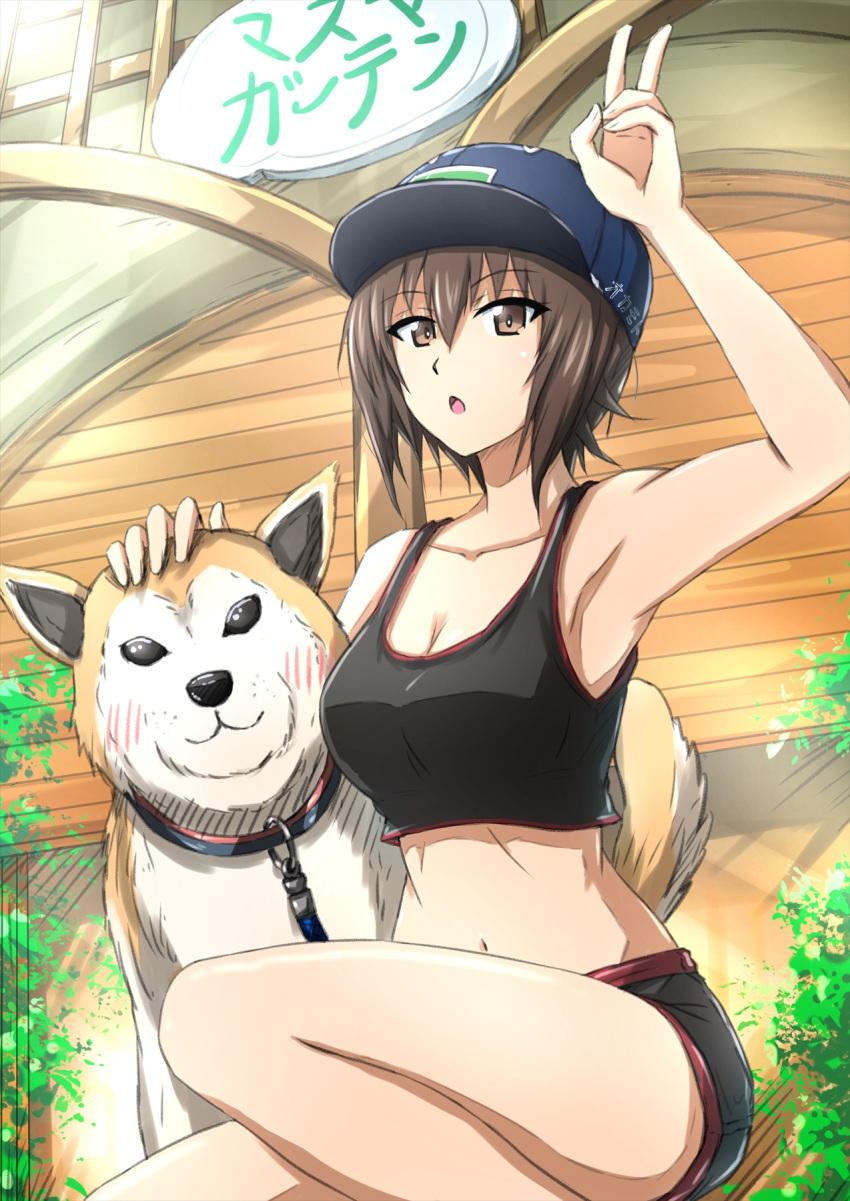 1girl arm_up armpits baseball_cap black_shorts black_tank_top blue_headwear blush breasts brown_eyes brown_hair cleavage commentary crop_top day dog girls_und_panzer hat highres knee_up large_breasts looking_at_viewer medium_breasts midriff navel nishizumi_maho omachi_(slabco) open_mouth outdoors petting short_hair short_shorts shorts sportswear squatting stomach tank_top v