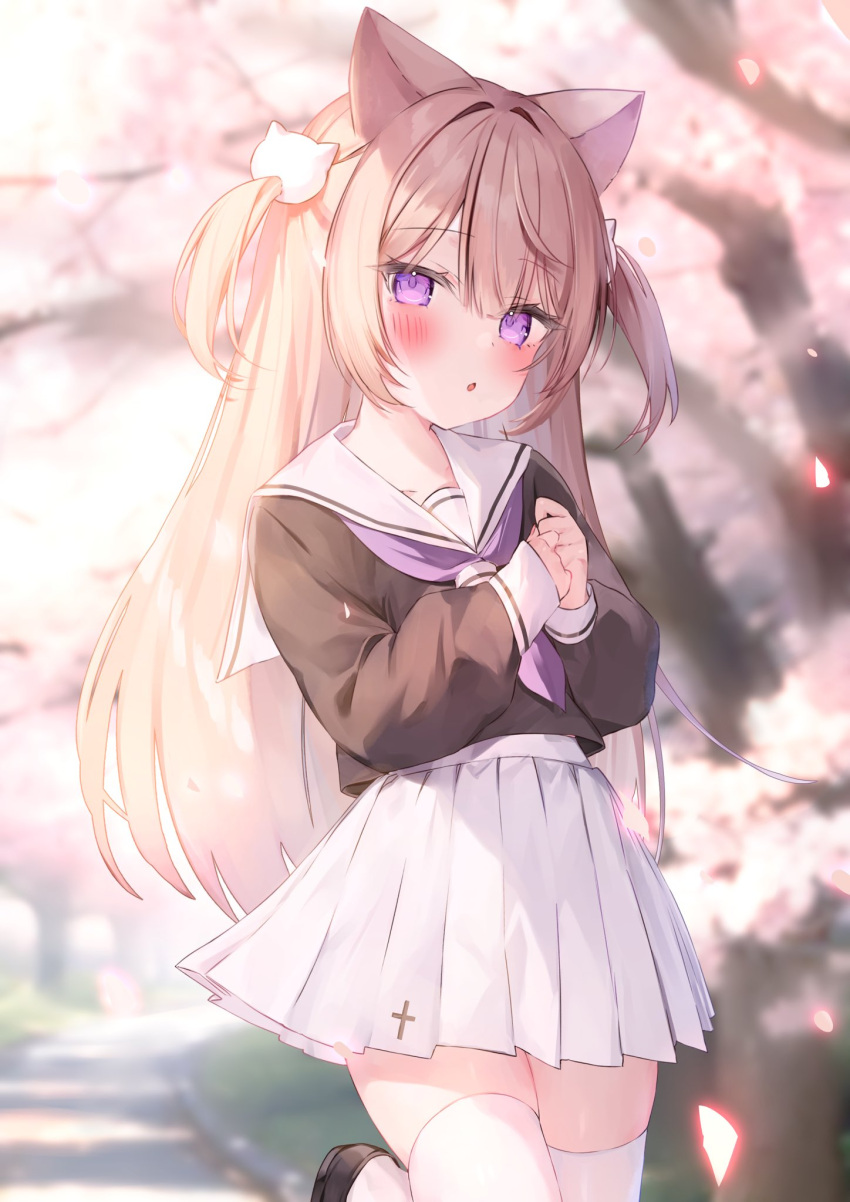 1girl :o animal_ears black_shirt blurry blurry_background blush cat_ears cat_girl cherry_blossoms commission day falling_petals foot_up hair_between_eyes hair_intakes hakua_aa highres knees_together_feet_apart light_brown_hair long_hair long_sleeves looking_at_viewer miniskirt neckerchief open_mouth original outdoors own_hands_together petals pleated_skirt purple_eyes purple_neckerchief sailor_collar school_uniform serafuku shirt sidelocks skeb_commission skirt solo thighhighs two_side_up white_sailor_collar white_skirt white_thighhighs zettai_ryouiki