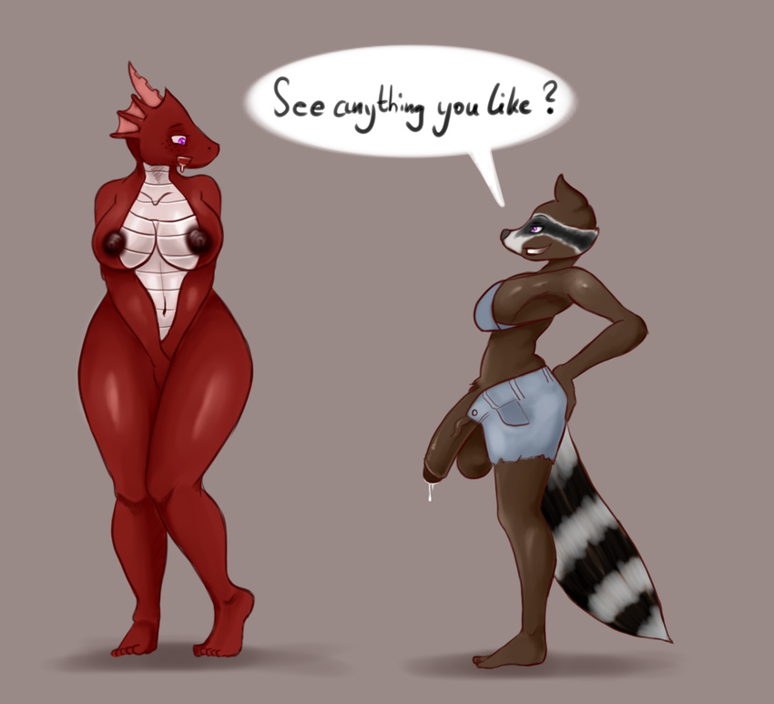 anthro balls big_breasts big_penis breasts clothing dragon drooling duo female hi_res horn intersex larger_female mammal nipples nude nukenugget open_mouth penis raccoon roxie_racoon saliva scalie size_difference text wide_thighs