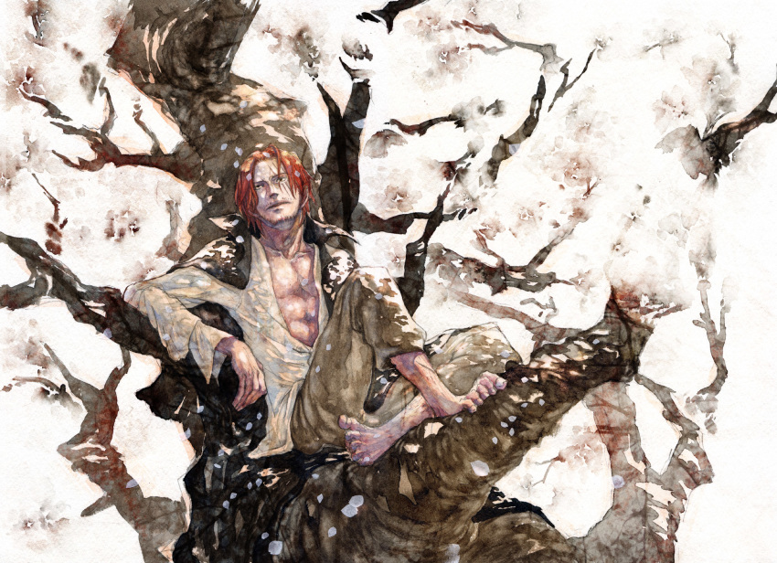 one_piece shanks tagme