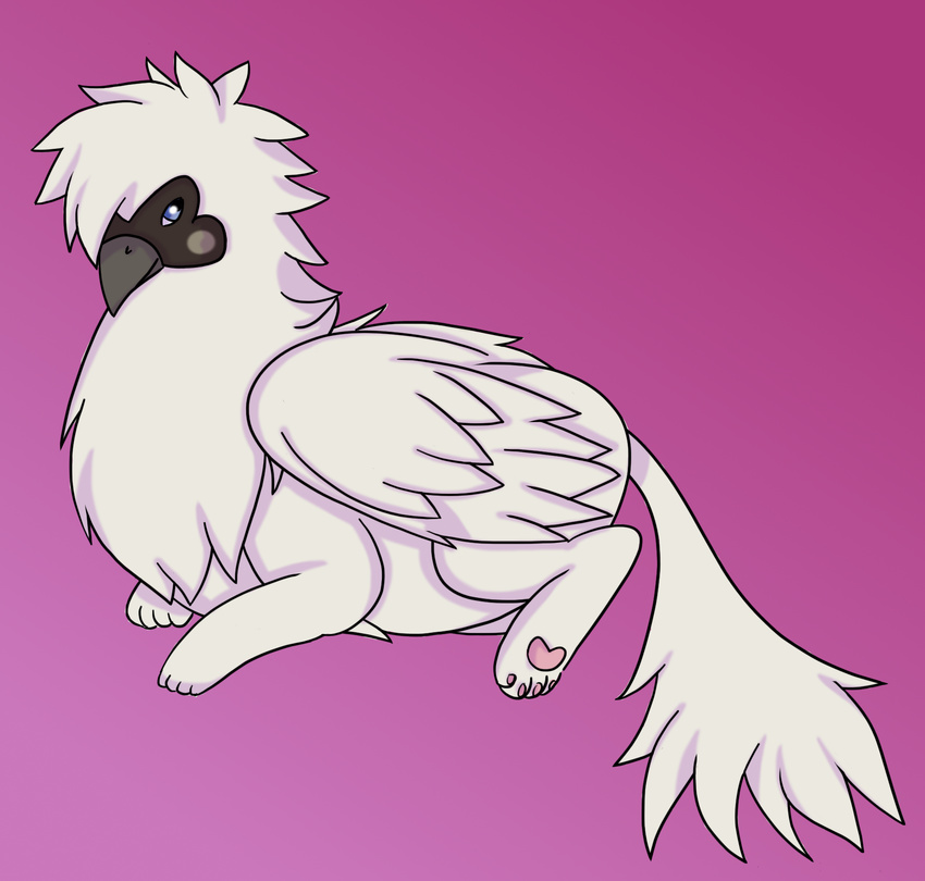 avian bird cat chicken feline gryphon itoruna mammal persian_cat pink_background silkie_chicken simple_background