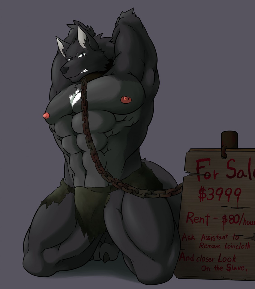 abs anthro armpits athletic biceps big_muscles black_fur black_wolf blue_eyes bulge canine chain clothing croiyan fur grey_fur loincloth male mammal muscular muscular_male nipples pecs solo sonic_wolfe triceps white_fur wolf