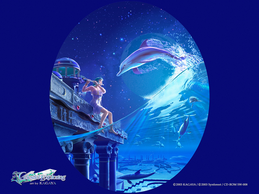 The Big ImageBoard (TBIB) - celestial exploring dolphin kagaya