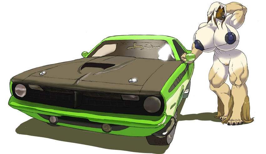 afghan anthro big_breasts breasts canine car female gideon green_eyes hair huge_breasts hyper hyper_breasts mammal muscular nipples pose simple_background solo vehicle white_background