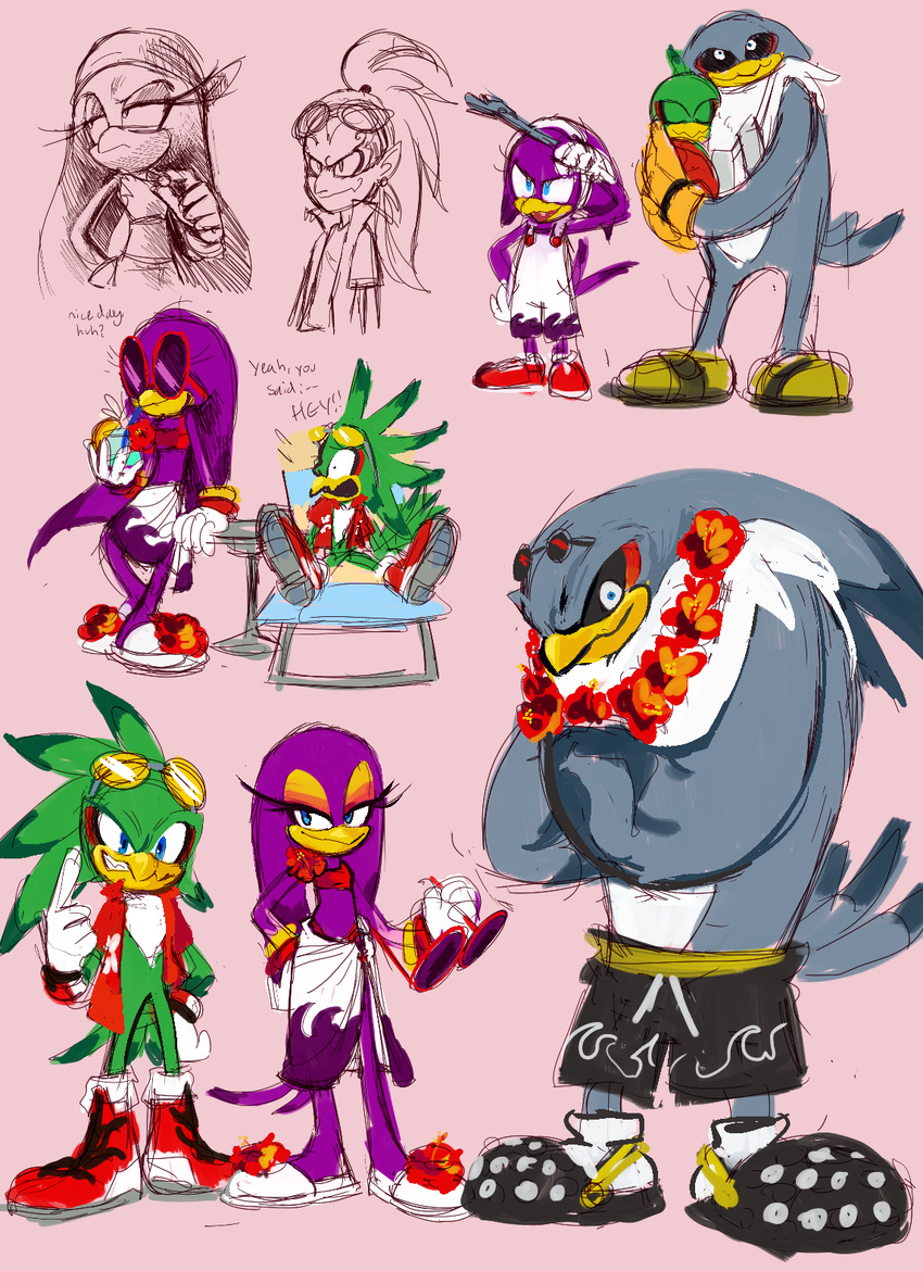 albatross anthro avian beak bird clothing eyelashes eyewear feathers female footwear glasses green_feathers grey_feathers hawk hi_res human jet_the_hawk knockabiller male mammal purple_feathers shoes sonic_(series) sonic_riders storm_the_albatross swallow_(bird) tools wave_the_swallow wrench