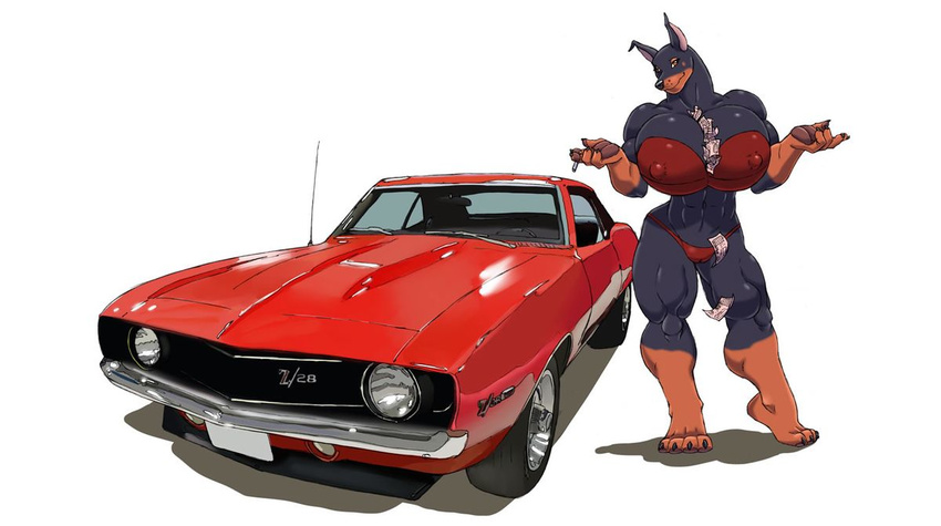 anthro big_breasts bikini breasts canine car cigarette clothing doberman dog female gideon green_eyes huge_breasts hyper hyper_breasts mammal money muscular simple_background smile solo swimsuit vehicle white_background