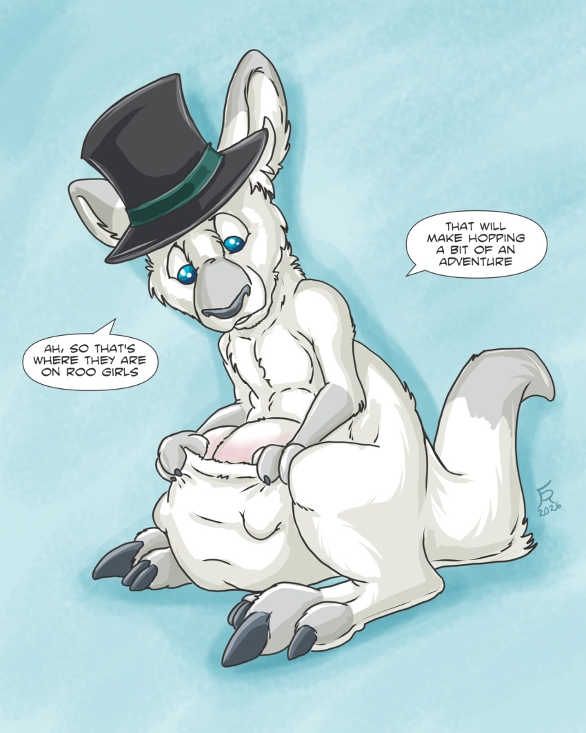 4:5 alternate_species anthro black_nose blue_eyes breasts_in_pouch clothing dark_nz dialogue dipstick_ears dipstick_tail ear_markings english_text female flinters fur gloves_(marking) grey_body grey_fur hat headgear headwear hi_res kangaroo macropod mammal markings marsupial multicolored_ears pouch_(anatomy) solo tail tail_markings text top_hat top_hat_only