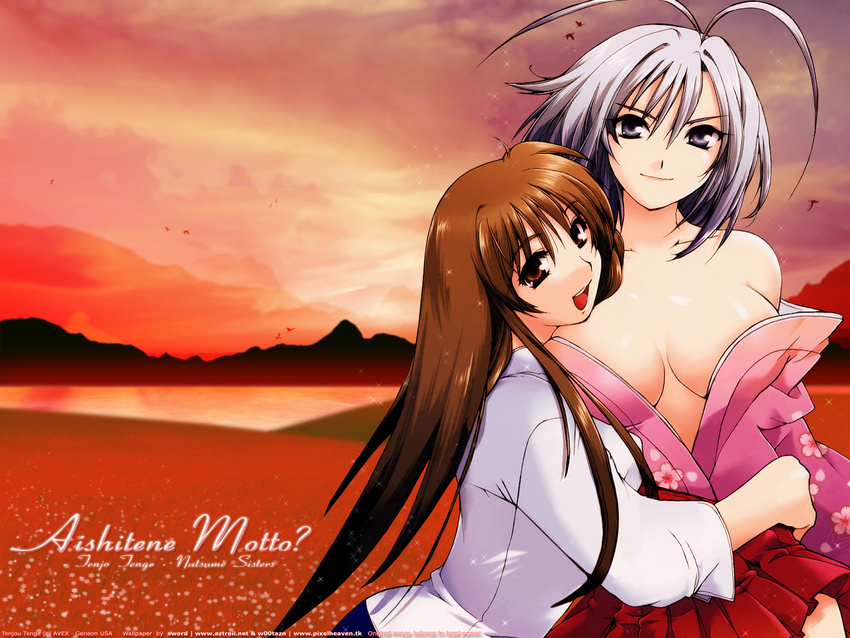 alpha_(yukai_na_nakamatachi) blouse breasts cherry_blossoms cleavage dress highres large_breasts multiple_girls natsume_aya natsume_maya skirt tenjou_tenge undressing wallpaper