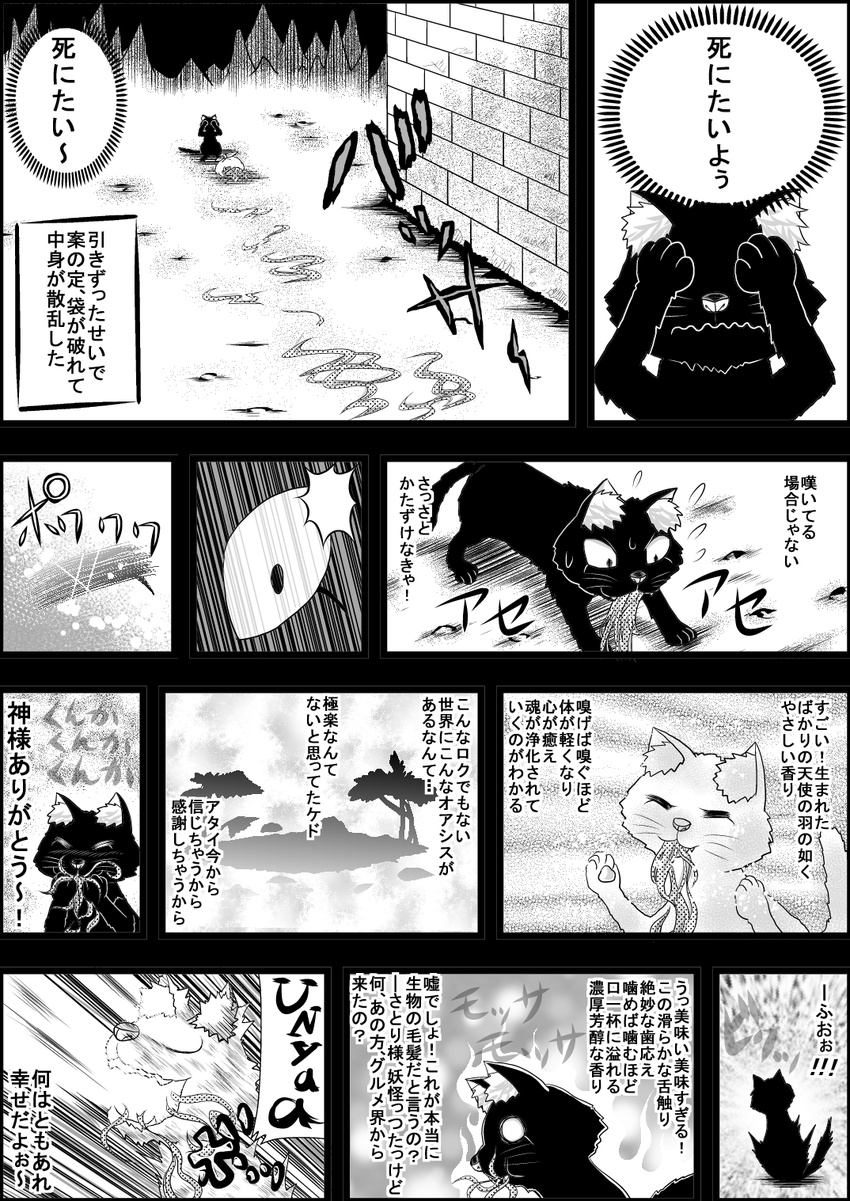 comic greyscale highres kaenbyou_rin kaenbyou_rin_(cat) monochrome niiko_(gonnzou) partially_translated touhou translation_request