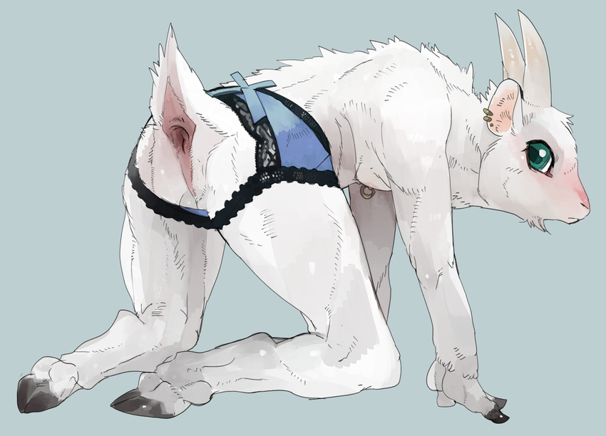 all_fours anthro anus backsack balls blush caprine clothed clothing crossdressing ear_piercing easy_access goat hooved_fingers hooves horn lace liteu looking_back male mammal nipple_piercing nipples perineum piercing side_view solo