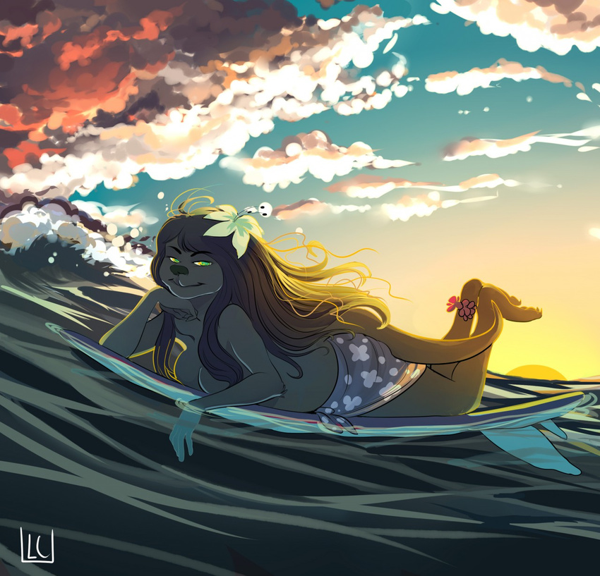 anthro breasts clothed clothing cloud female half-closed_eyes happylittlecloud looking_at_viewer mammal mustelid otter outside smile solo surfboard topless