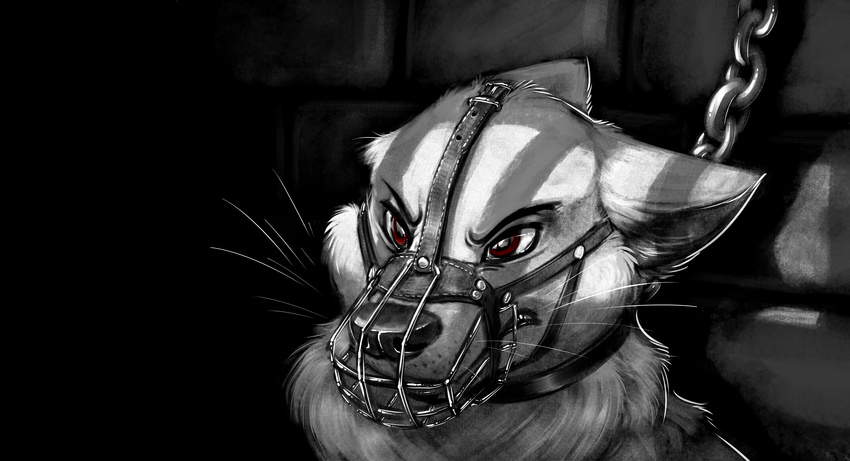 2016 angry bdsm black_and_white bondage bound canine carrot_(artist) chow_chow digital_media_(artwork) dog erection feral hi_res male mammal monochrome nephadius_stratus pointy_ears prison red_eyes simple_background sketch solo tagme toes wolf