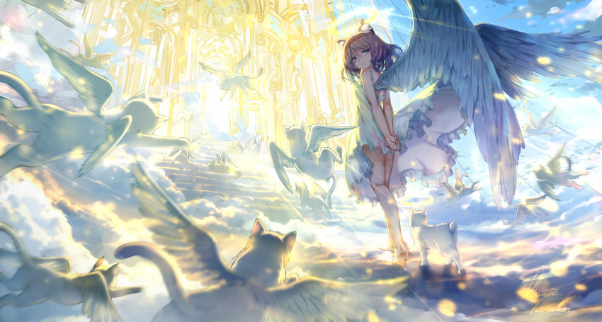 above_clouds angel angel_wings animal animal_ears arms_behind_back back bangs bare_arms bare_legs barefoot blue_eyes blue_sky breasts brown_hair cat cat_ears commentary day dress dress_lift engrish feathered_wings flying from_behind from_below fur gate hair_between_eyes heaven highres kneepits light_particles light_rays light_smile looking_at_viewer looking_back motion_blur observerz original own_hands_together personification ranguage signature sitting sky sleeveless sleeveless_dress small_breasts smile soles stairs sundress swept_bangs walking white_dress white_wings wings