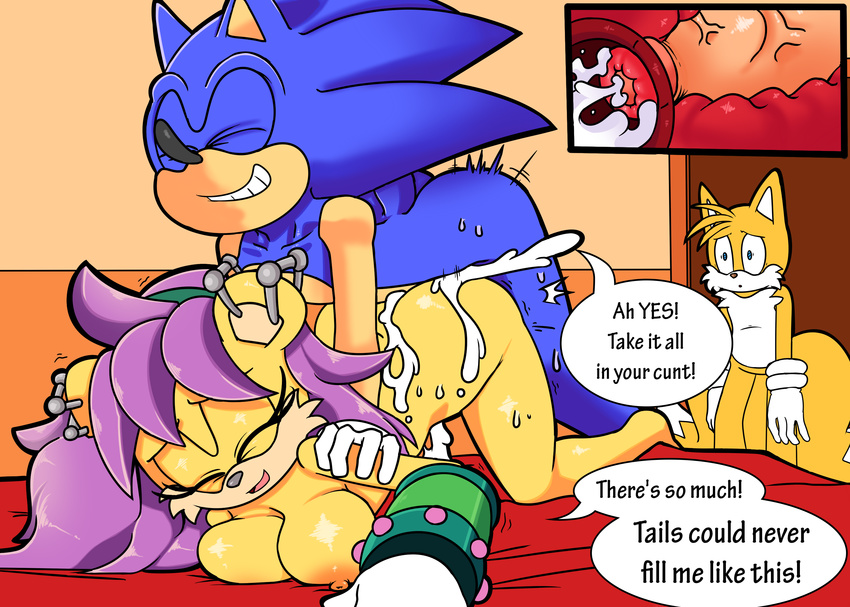 blueast canine dreamcastzx1 female fox hedgehog huge_penis male male/female mammal miles_prower mina_mongoose mongoose penis pussy sonic_(series) sonic_the_hedgehog speech_bubble