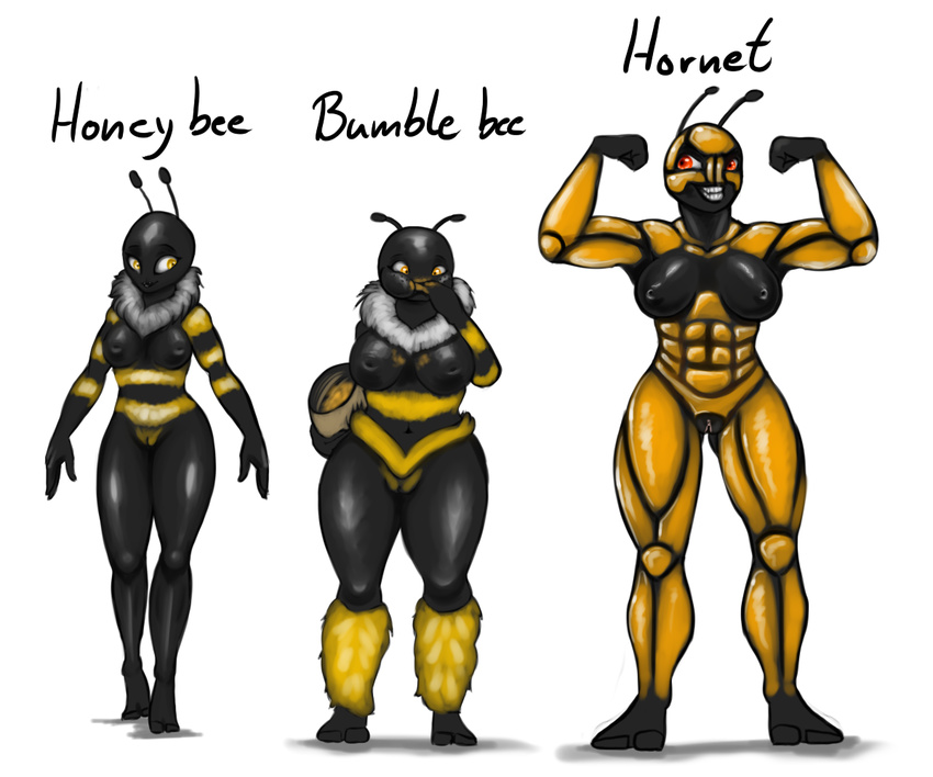 abs antennae anthro armor arthropod bee biceps big_breasts breasts bumble_bee eating female hair hi_res honey_bee hornet insect muscular nipples nude nukenugget pussy smile wasp