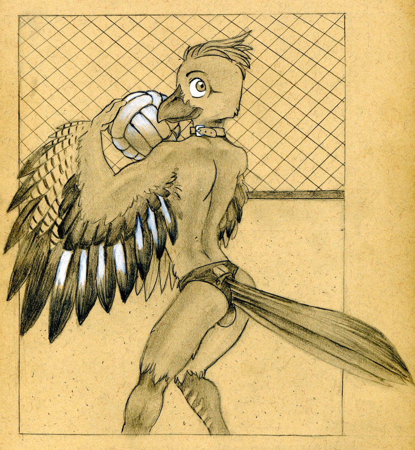 anthro avian beach_volleyball beak bird butt clothed clothing eurasian_jay feathered_wings feathers furgonomics holding_object jay_(bird) looking_at_viewer male monochrome pencil_(artwork) penis_outline rear_view solo speedo standing swimsuit topless traditional_media_(artwork) tush winged_arms wings