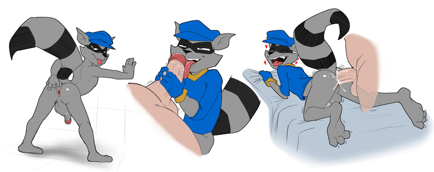 cum hat jerseydevil licking male male/male mammal raccoon sly_cooper sly_cooper_(series) tongue tongue_out video_games