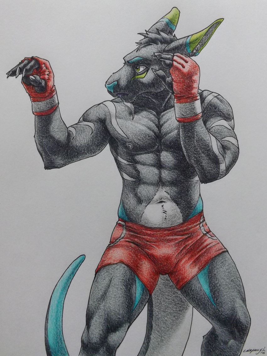 arms_above_head clothing ears_back fighters_stance gloves invalid_tag kangaroo male mammal marsupial mma muscular shorts sinistervibe solo spandex_shorts sparring_gloves stripes traditional_media_(artwork)