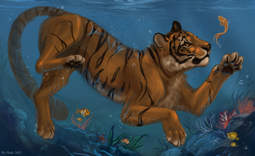 2012 ambiguous_gender day feline fish flashw mammal marine paws solo stripes tagme tiger underwater water