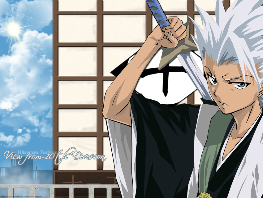 bleach hitsugaya_toushirou tagme