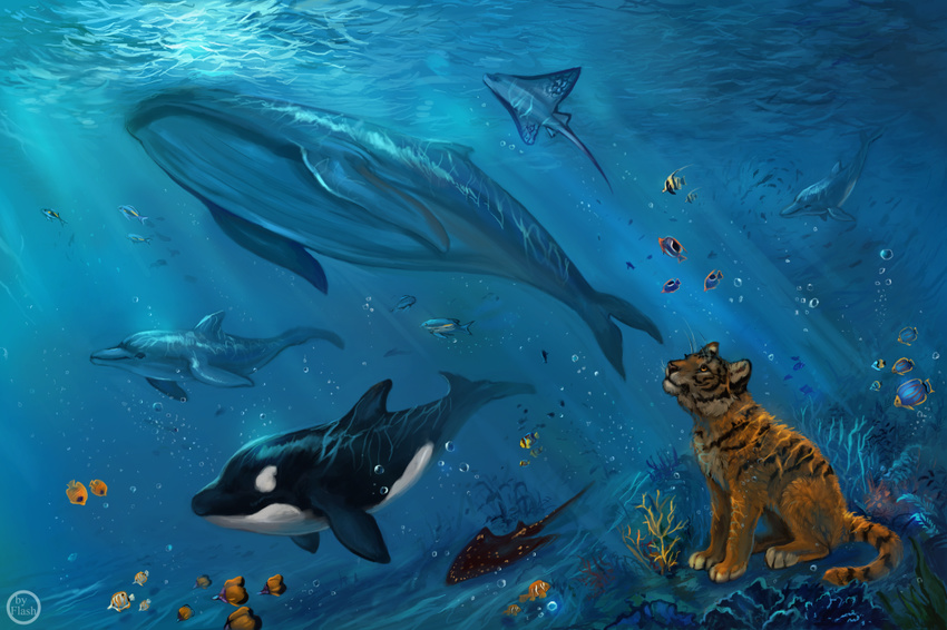amber_eyes ambiguous_gender bubble cetacean day detailed_background dolphin feline feral fish flashw fur group mammal marine orca outside sitting sting_ray stripes sunlight swimming tiger underwater water whale