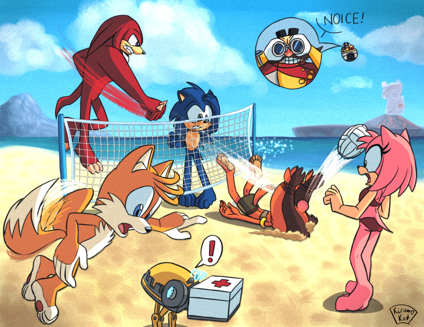 2016 amy_rose anthro badger barefoot beach canine clothing dr._eggman echidna female first_aid_kit fox fur hedgehog human kirumo-kat knuckles_the_echidna machine male mammal miles_prower monotreme mustelid net robot seaside sonic_(series) sonic_boom sonic_the_hedgehog sport sticks_the_jungle_badger swimsuit volleyball
